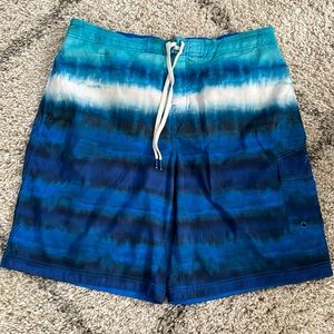 Mens Speedo Bathing Suit